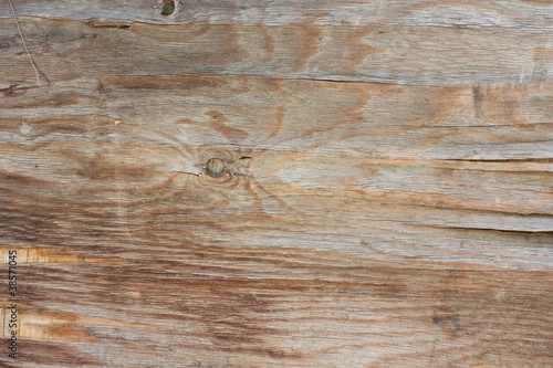 Wallpaper Mural old wood plank board background Torontodigital.ca