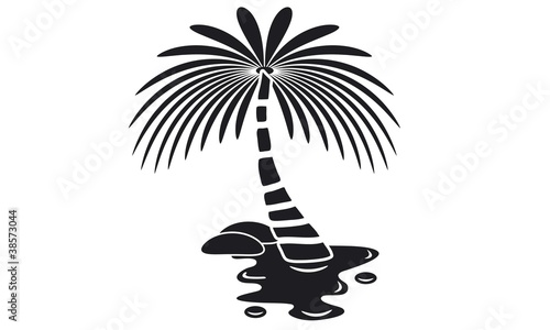 Palme am Strand
