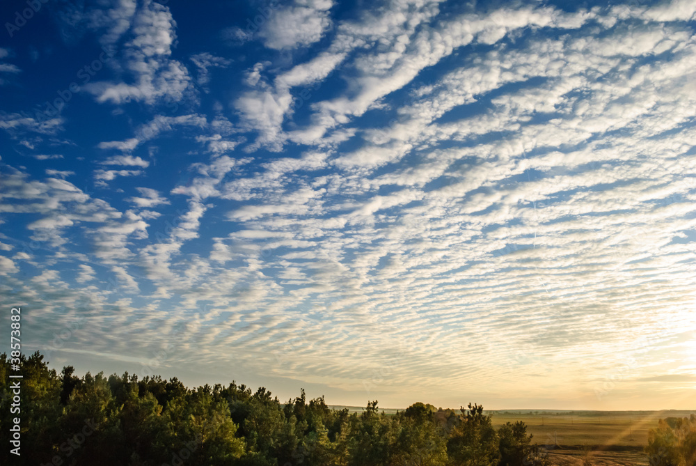 Foto cirrus clouds over the forest..