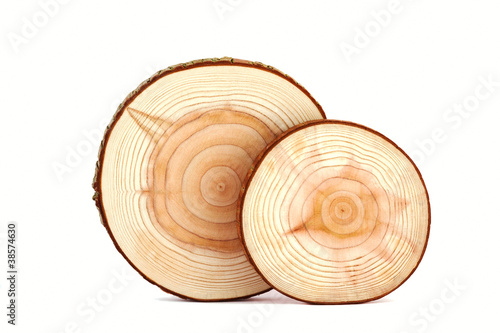 Tree rings texture isolated on white.