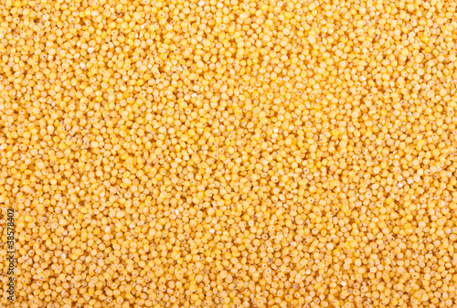 Millet seeds background