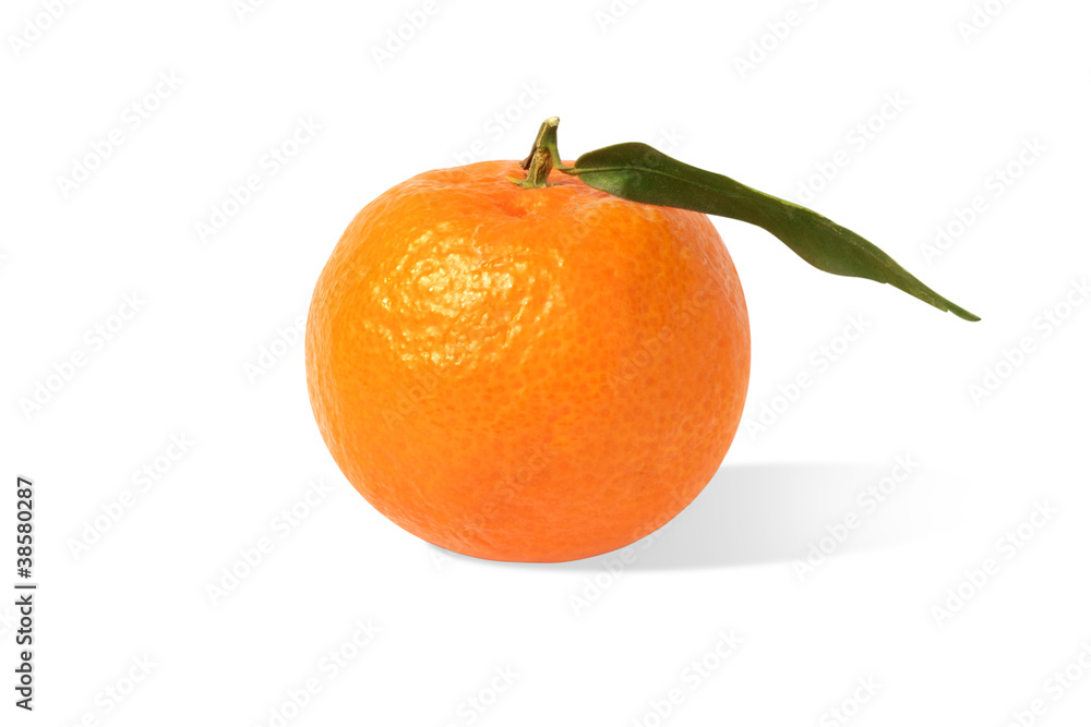 Mandarino Mandarino