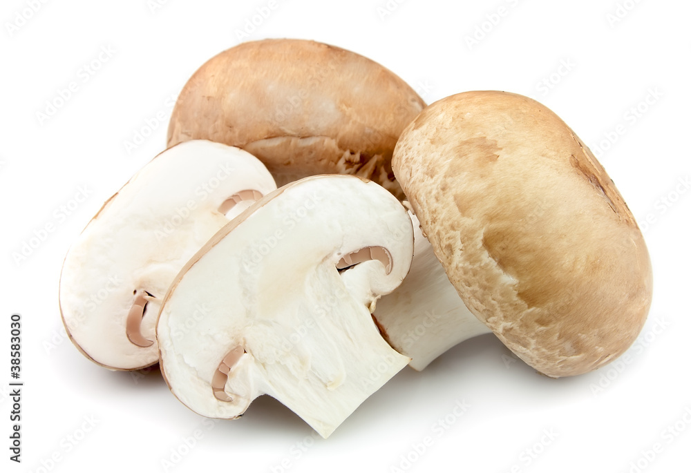 Champignon mushroom Champignon mushroom