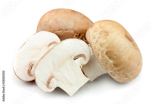 Champignon mushroom