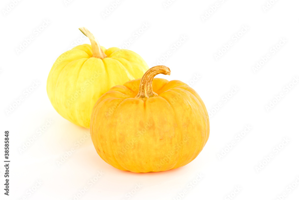 Miniature pumpkins Miniature pumpkins