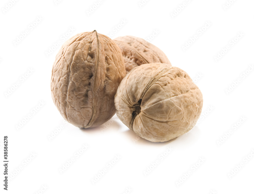 walnuts are isolated walnuts are isolated