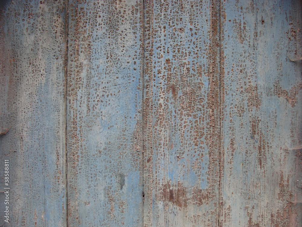 old wooden surface with cobweb and peeling crack blue paint old wooden surface with cobweb and peeling crack blue paint