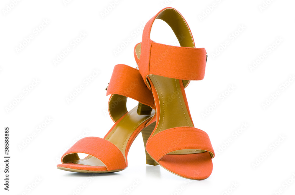 Female shoes in fashion concept Female shoes in fashion concept