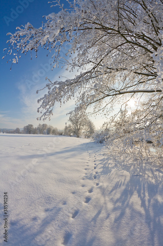 Eislandschaft am Flussufer der Vils