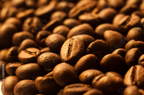 Coffee beans closeup background