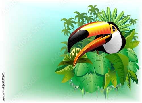 Tucano Sfondo Giungla-Toucan on Jungle Background-Vector