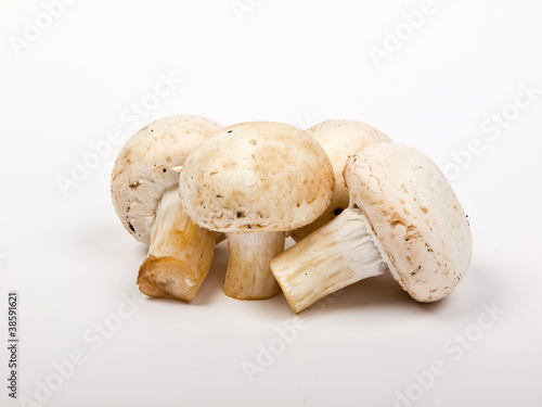 champignon