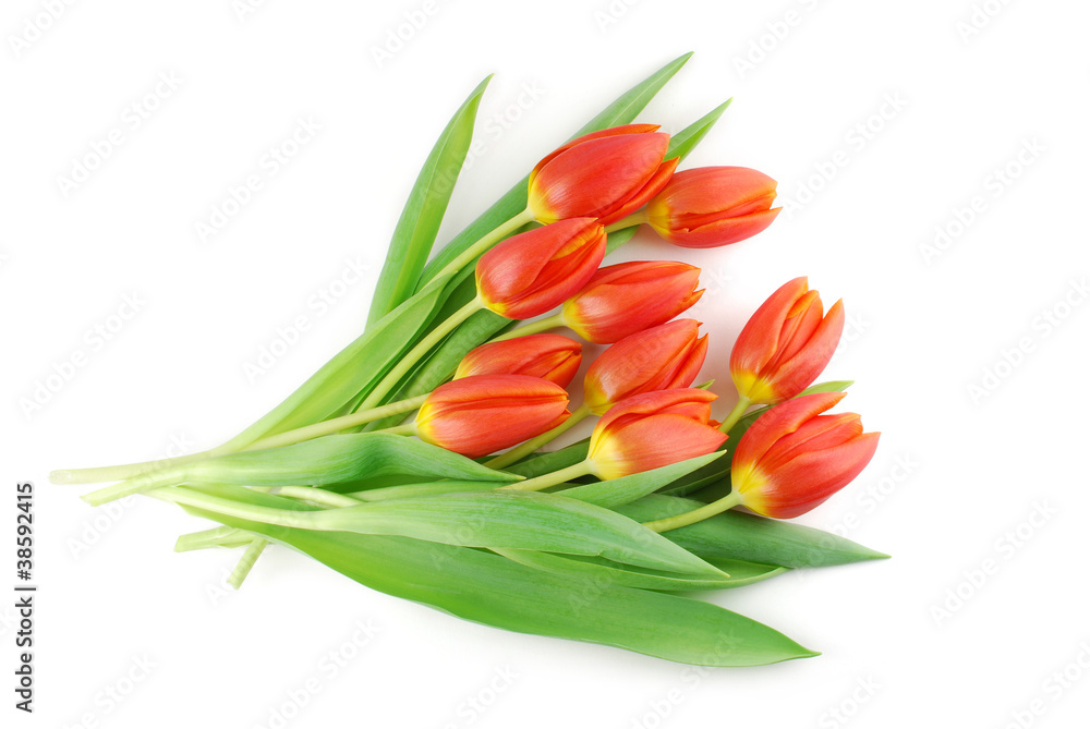 Herz aus 10 roten Tulpen - Ein Dankeschön Herz aus 10 roten Tulpen - Ein Dankeschön