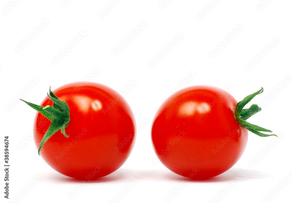 tomatoes tomatoes