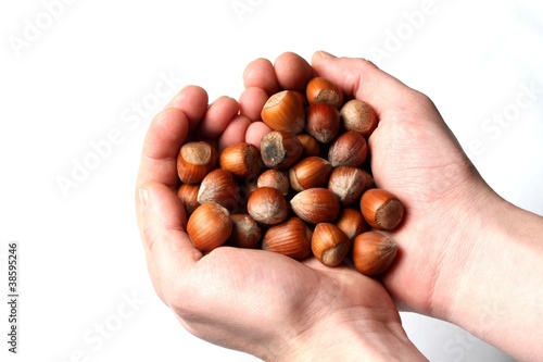 handfull of hazelnuts
