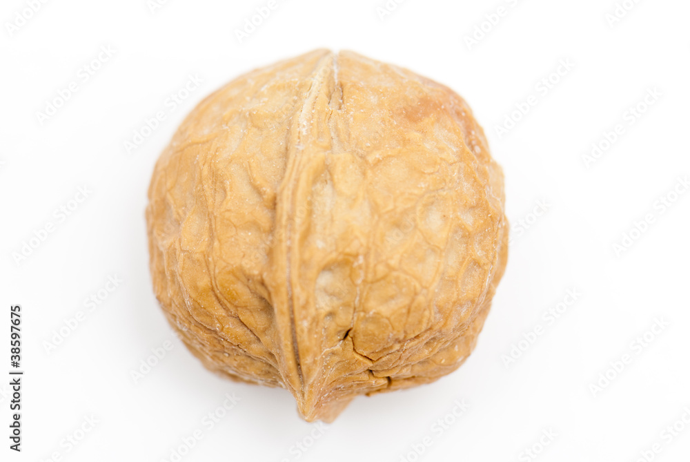 核桃 核桃