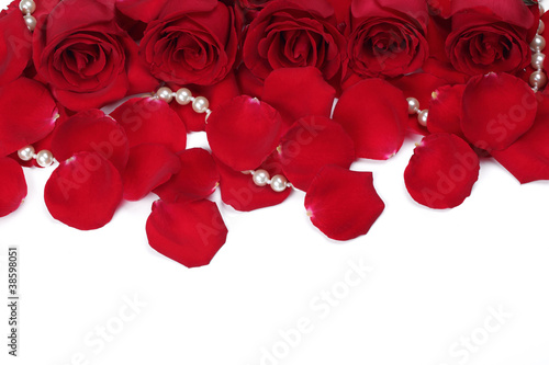 Red rose petals