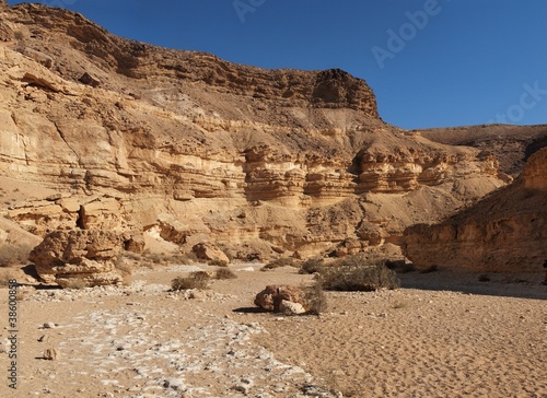 Wall of desert canyon