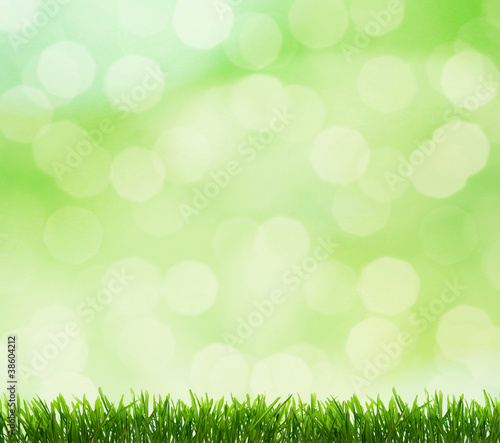 abstract beautiful fresh grass