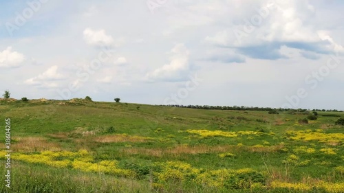 Ukrainian wildlife preservation, (reserve Stone mogyla) photo