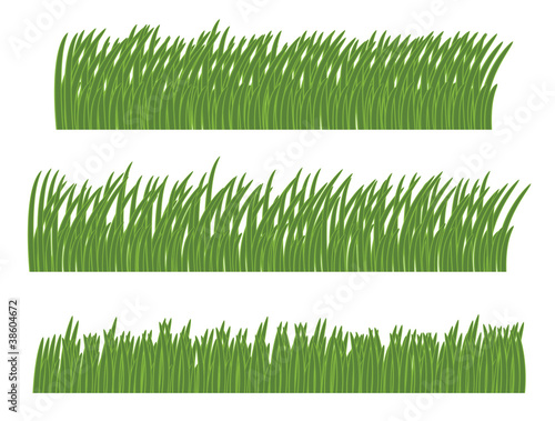 green grass isolated on white vector illustration