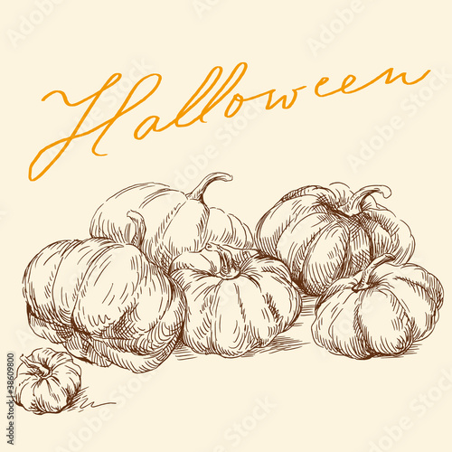 hand drawn pumpkins