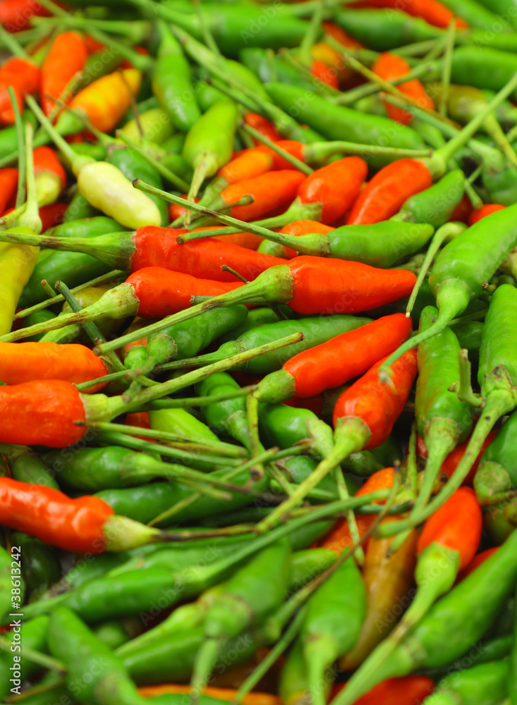 Many red and green chili peppers Many red and green chili peppers
