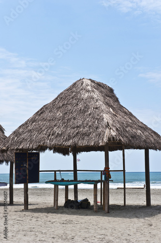 huts on the  beach in Monpiche