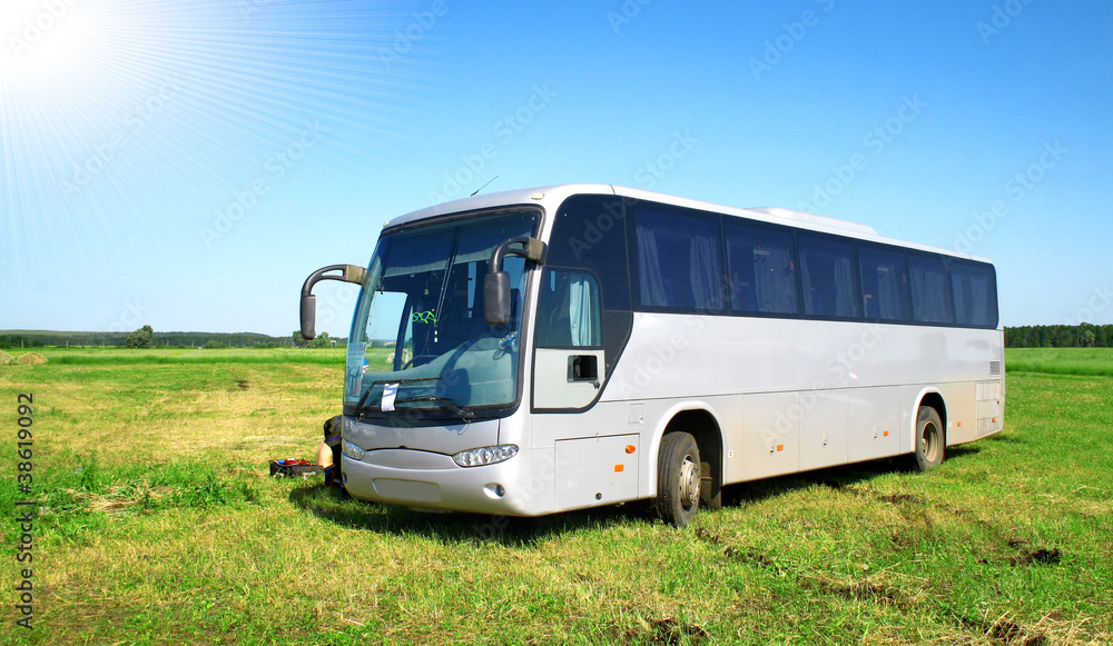 Coach in a field