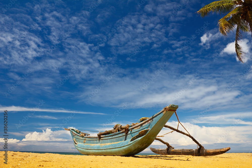 boat and coconut palm tree on tropical coast