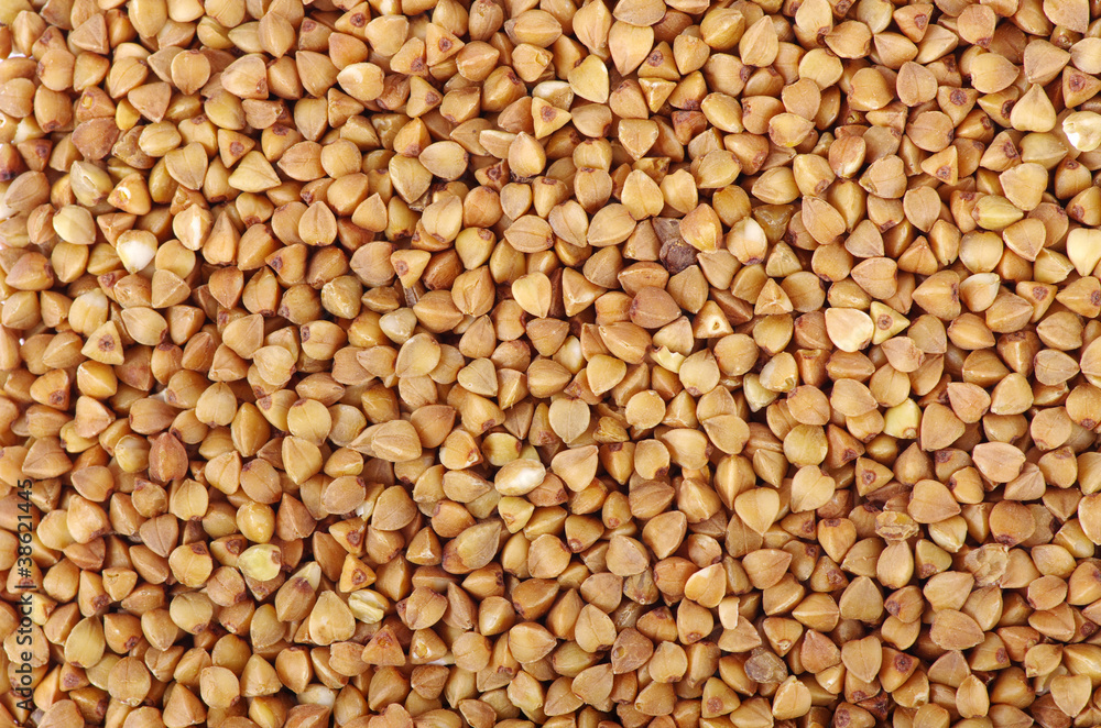 buckwheat buckwheat