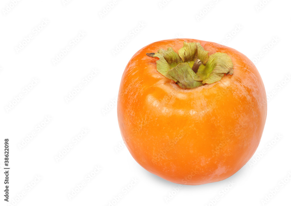 persimmon persimmon