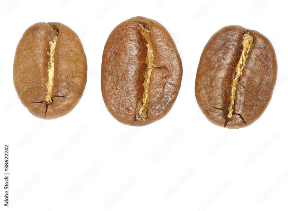 coffee beans coffee beans