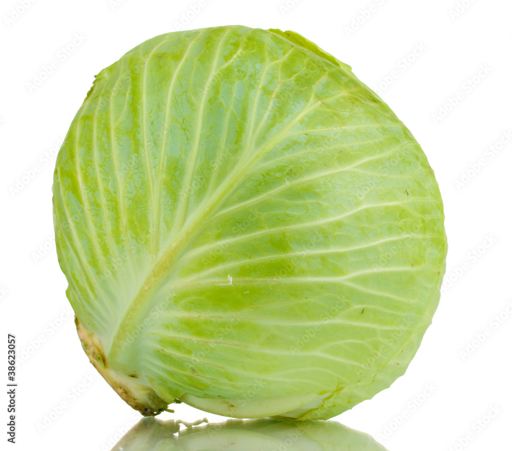 Fototapeta premium whole green cabbage isolated on white