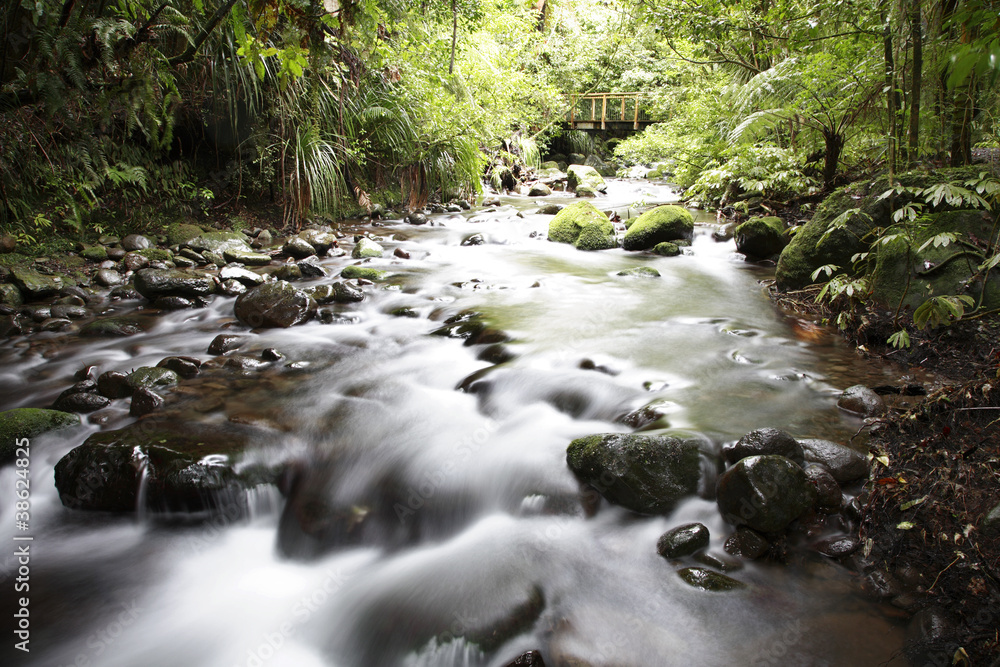 Obraz premium Stream