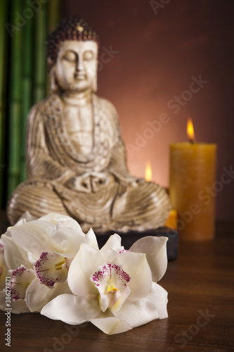 Buddha statue with orchid flower