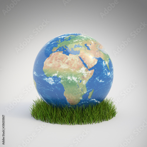 Fototapeta Naklejka Na Ścianę i Meble -  Earth globe in grass