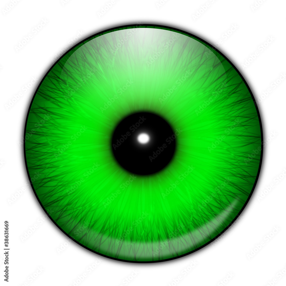 Auge - grün Auge - grün