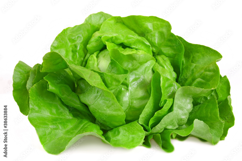 grüner.Salat grüner.Salat