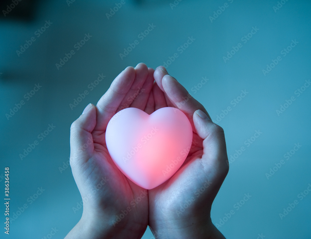 heart in hands heart in hands