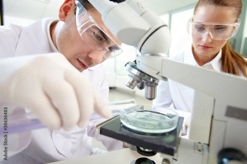 Laboratory research Laboratory research