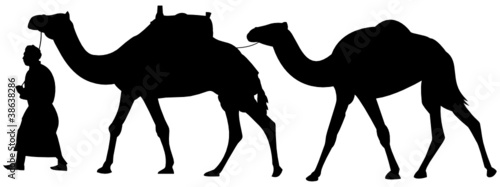 Karawane Kamele Silhouette