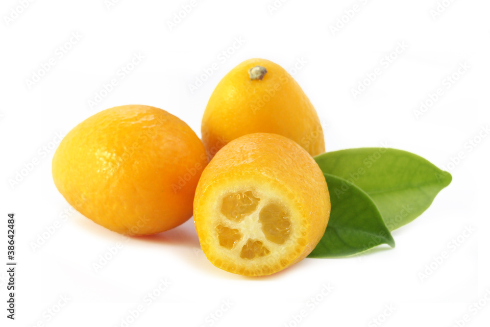 Kumquat. Isolated on white background. Kumquat. Isolated on white background.