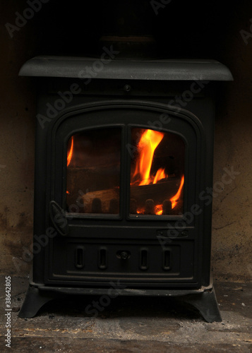 Wood burning stove