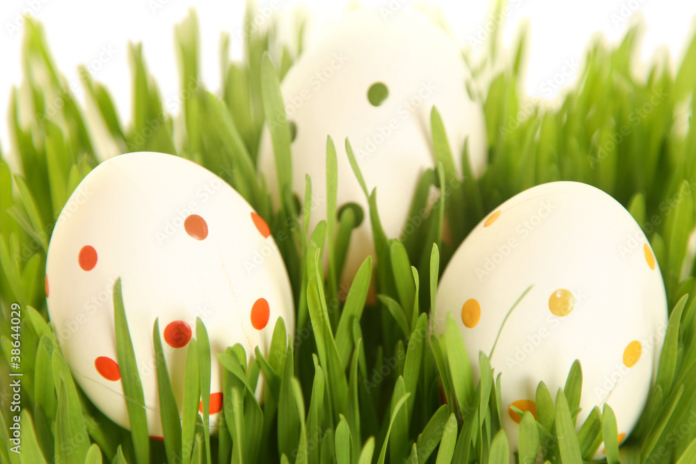 white eggs on greeen white eggs on greeen