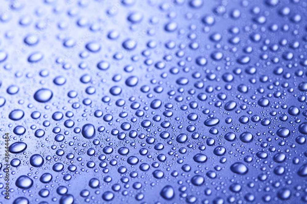 Fresh and Wet Fresh and Wet