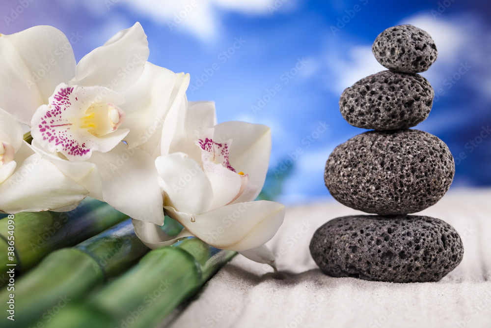 Fototapeta premium Still life, with orchid flower, zen