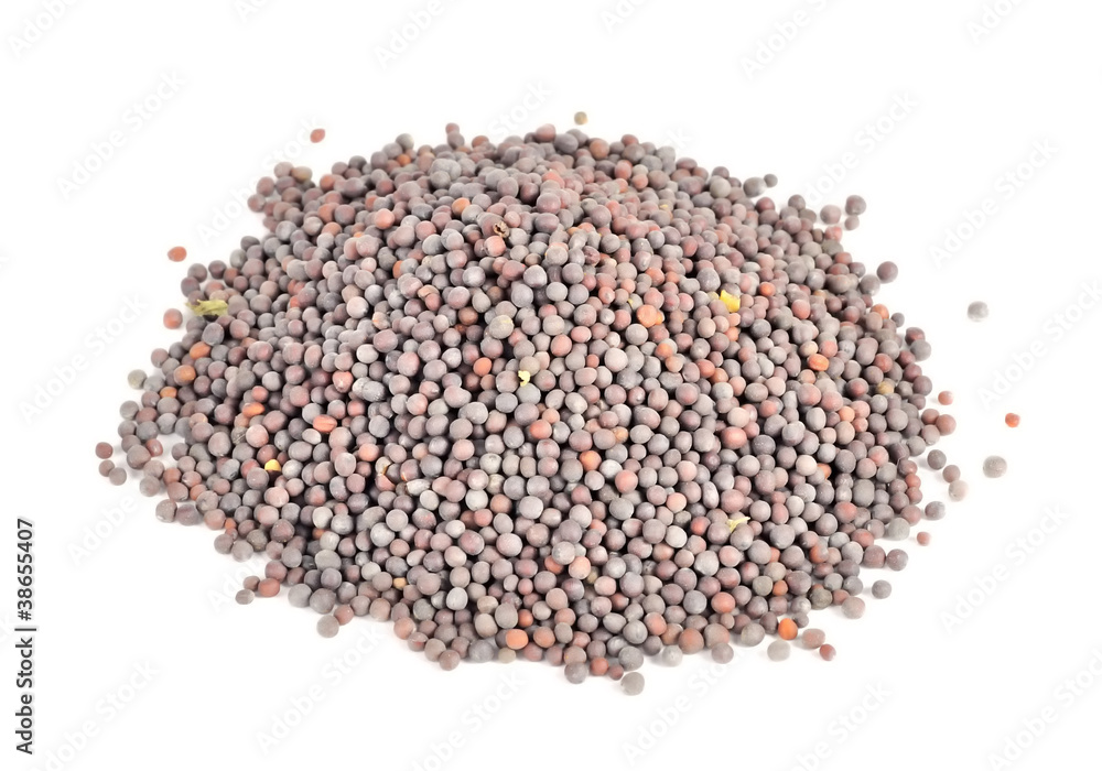 Pile of Black Mustard Seeds Isolated on White Background Pile of Black Mustard Seeds Isolated on White Background