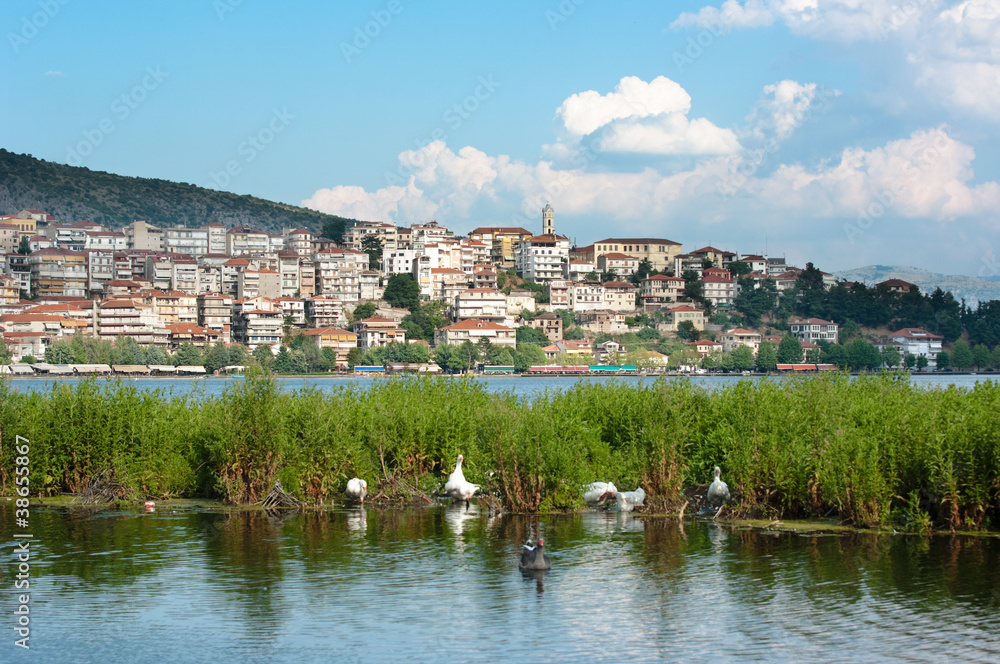 Village And Lake Of Kastoria
