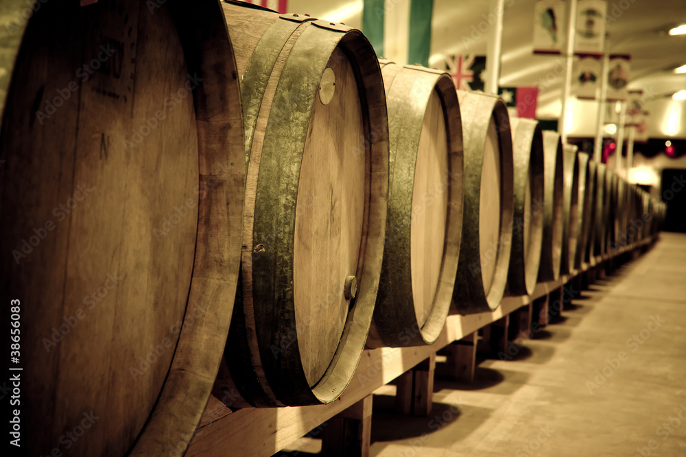 Wine barrels in cellar